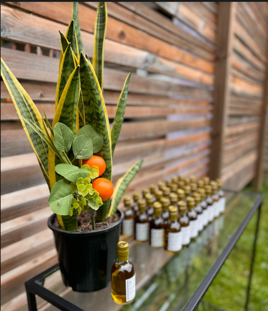 A glass table setup with mini olive oil gift favours at an Italian-themed bridal shower. The plant arrangement has some oranges popping out to match the asthetic, and the olive oil labels are custom designed to match Le Labo branding.